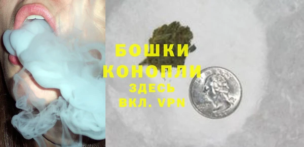 PSILOCYBIN Алексеевка