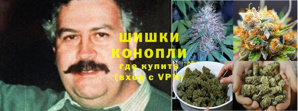 PSILOCYBIN Алексеевка