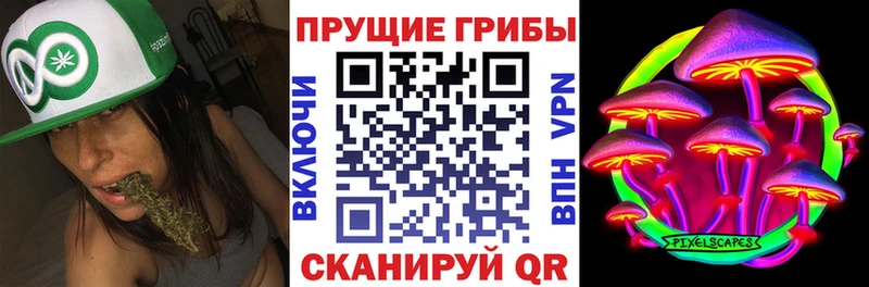 цена наркотик Петропавловск-Камчатский Псилоцибиновые грибы Magic Shrooms