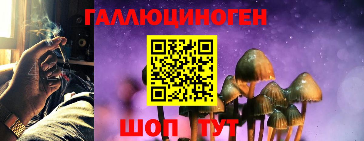 MDMA Петропавловск-Камчатский