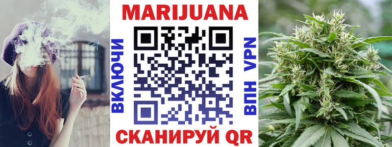 Бошки Шишки OG Kush MEGA как войти Петропавловск-Камчатский цена наркотик